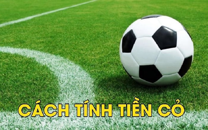 Tiền cỏ là gì